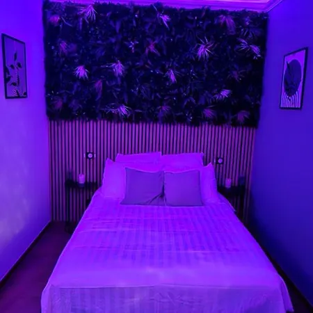 L'hortillon Appartement