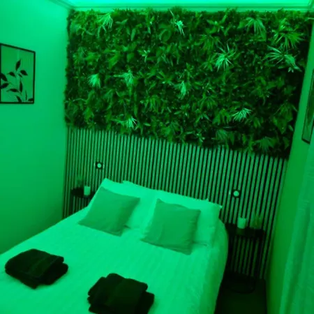 L'hortillon * 阿棉